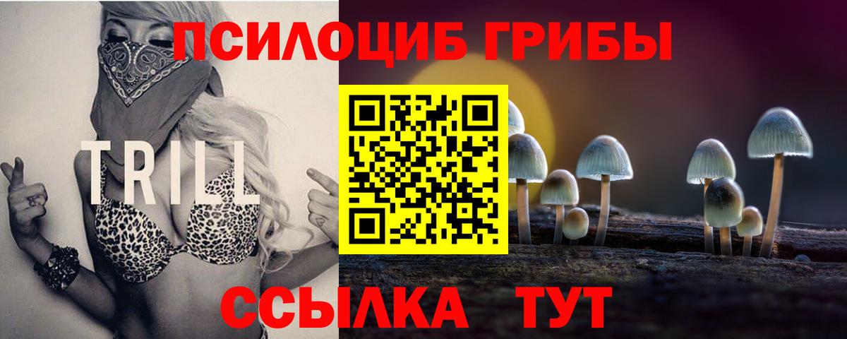 Псилоцибиновые грибы Psilocybe Куйбышев