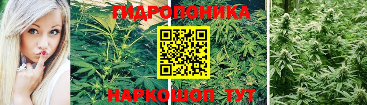 Канабис план  Каннабис гибрид  Вход с VPN  Бошки Шишки LSD WEED  Куйбышев  Бошки марихуана SATIVA & INDICA 